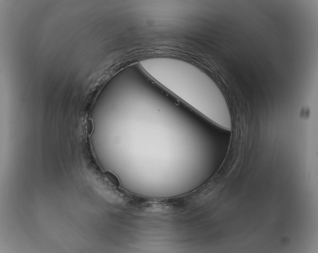 X0000111820601200907231026