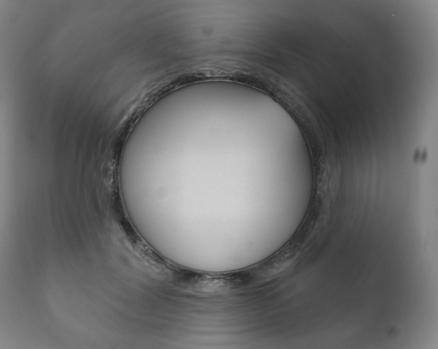 X0000111820604200907231026
