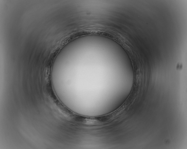 X0000111820605200907231026