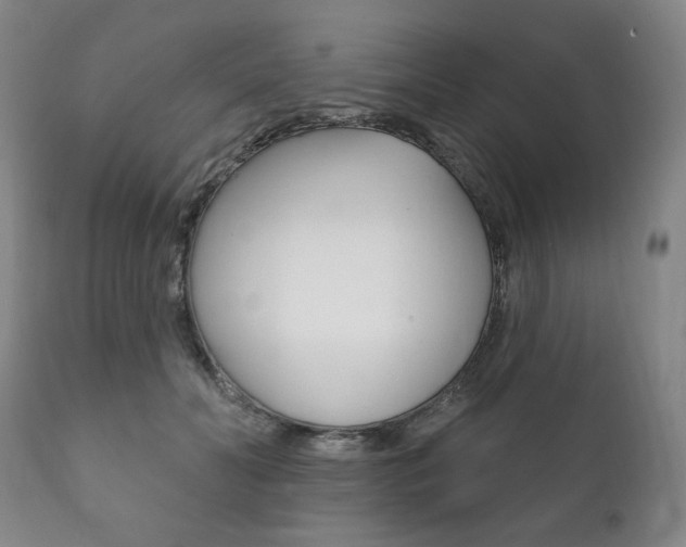 X0000111820606200907231026