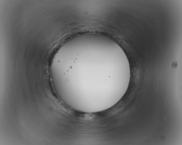 X0000111820612200907231026