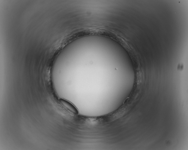X0000111820613200907231026