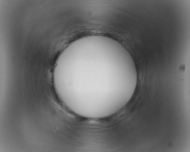 X0000111820614200907231026