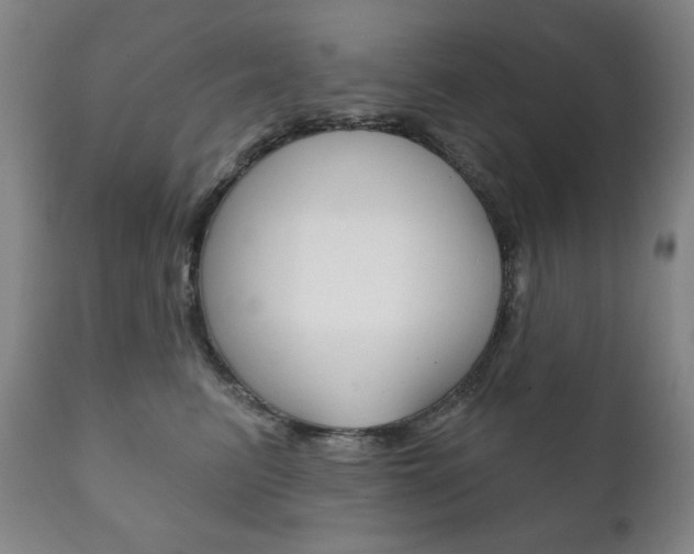 X0000111820615200907231026