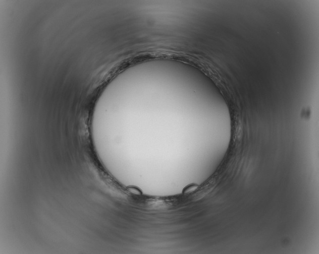 X0000111820616200907231026