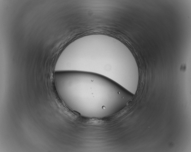 X0000111820617200907231026