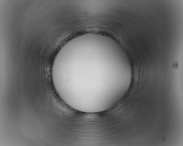 X0000111820619200907231026