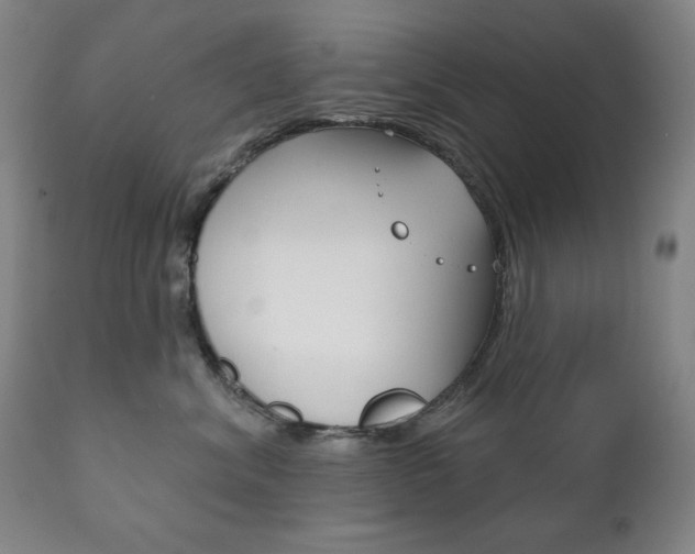 X0000111820620200907231026