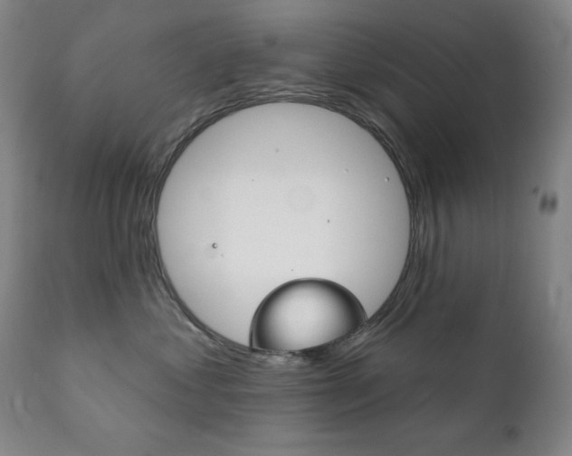 X0000111820621200907231026