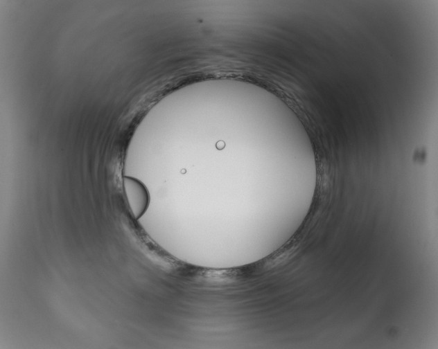 X0000111820622200907231026