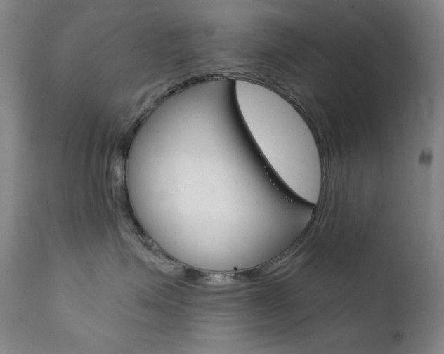 X0000111820623200907231026