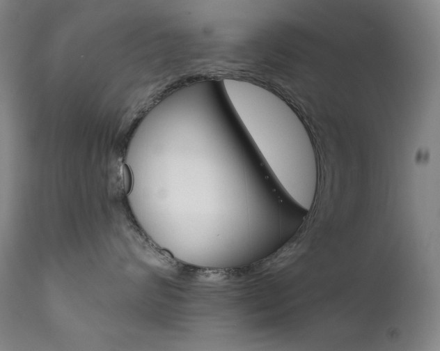 X0000111820624200907231026