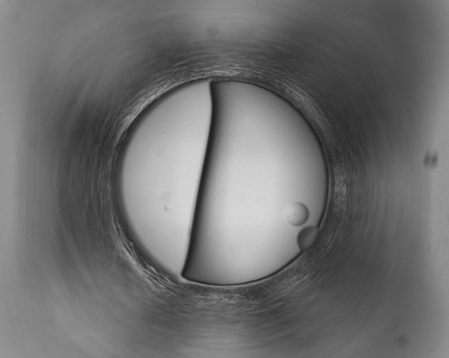 X0000111820626200907231025