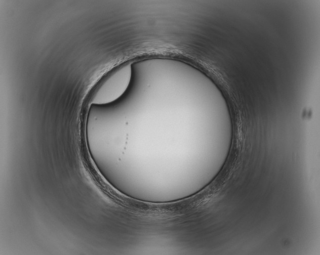X0000111820630200907231025