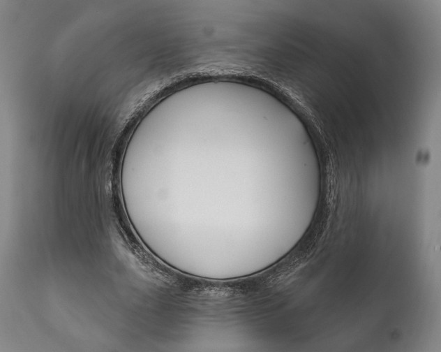 X0000111820631200907231025