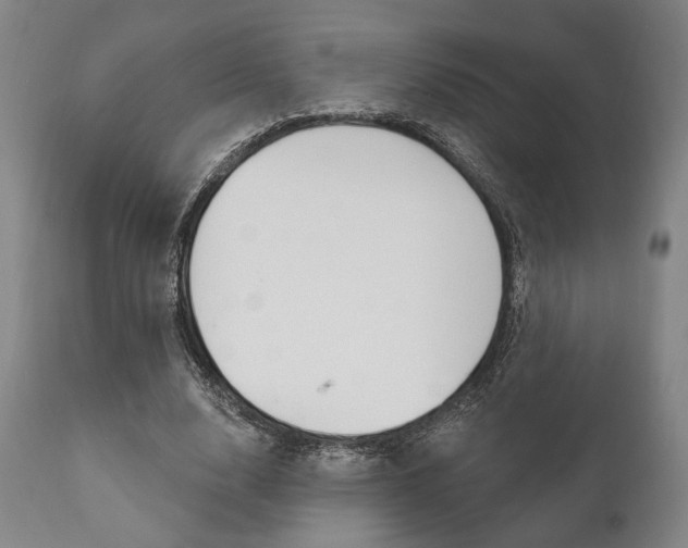 X0000111820632200907231025