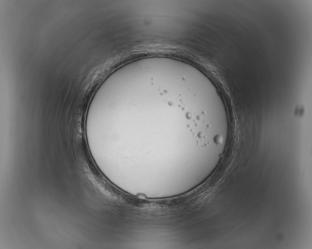 X0000111820633200907231025