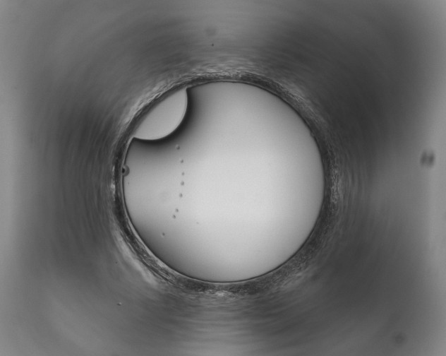 X0000111820634200907231025