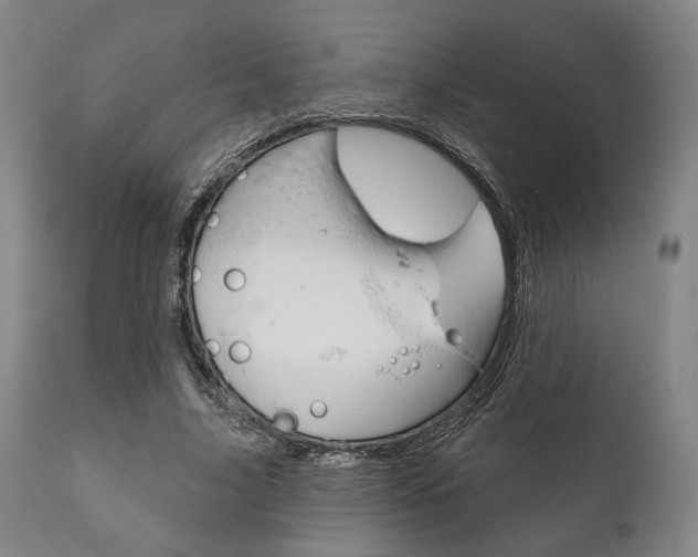 X0000111820635200907231025