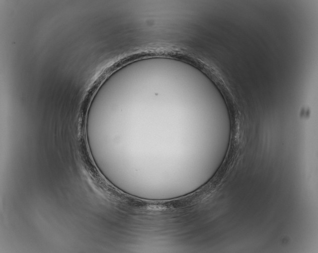 X0000111820636200907231025