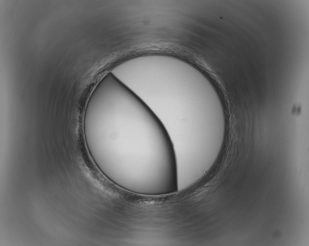 X0000111820637200907231025