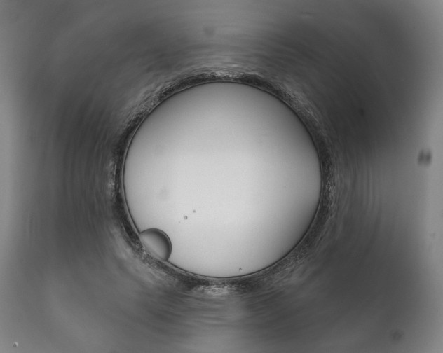 X0000111820639200907231025
