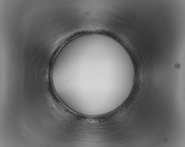 X0000111820640200907231025