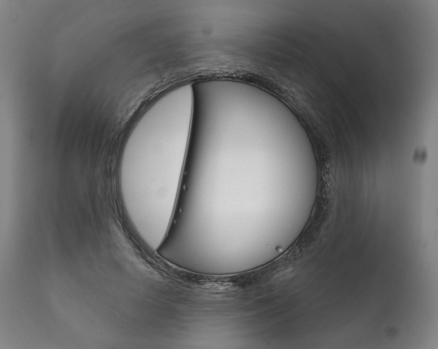 X0000111820642200907231025