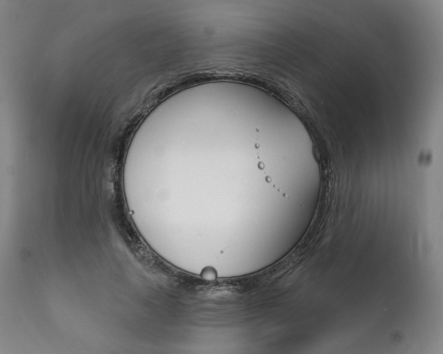 X0000111820643200907231025