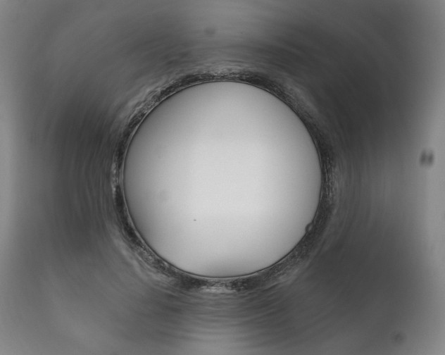 X0000111820644200907231025
