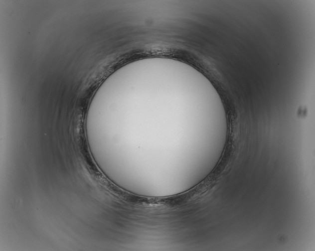 X0000111820645200907231025