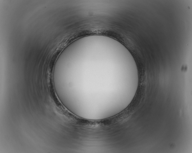 X0000111820646200907231025