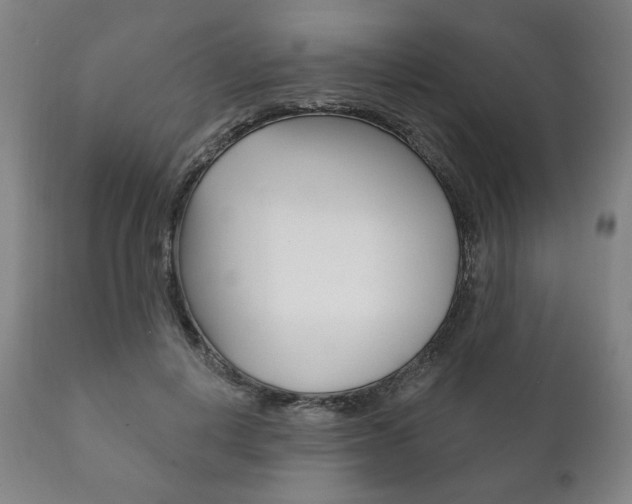 X0000111820648200907231025