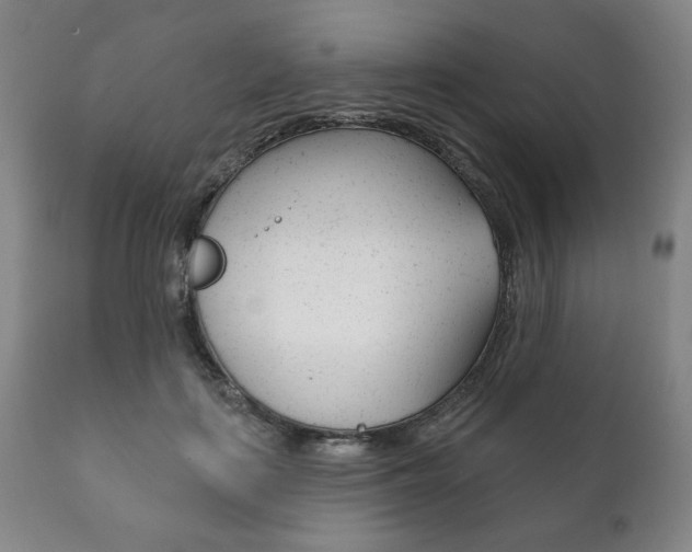 X0000111820651200907231025