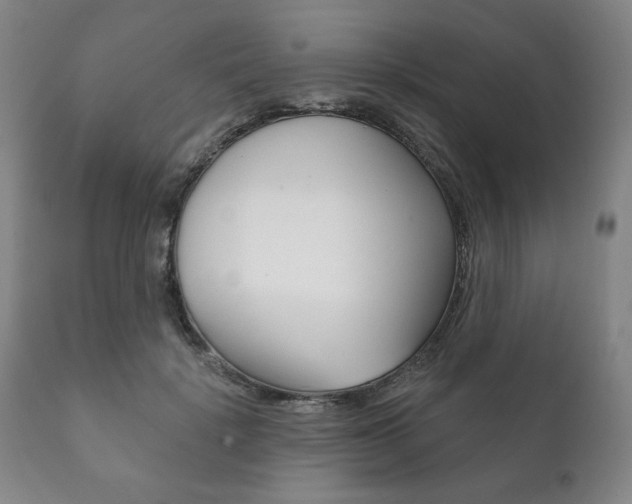 X0000111820652200907231025