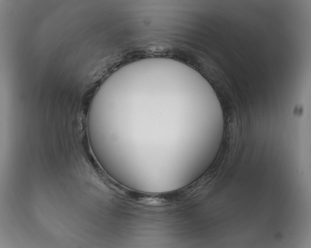 X0000111820654200907231025