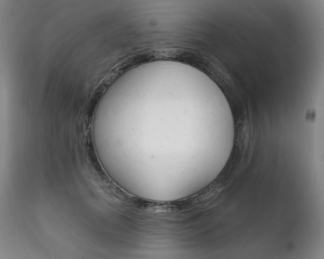 X0000111820655200907231025
