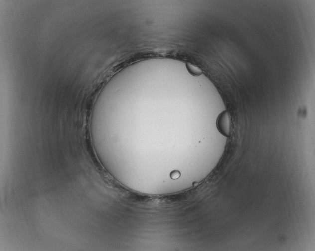 X0000111820656200907231025