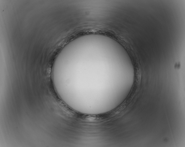 X0000111820657200907231025