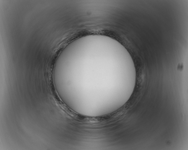 X0000111820658200907231025