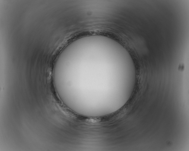 X0000111820660200907231025