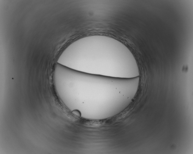 X0000111820661200907231025