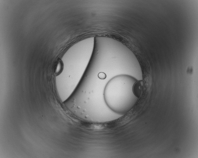 X0000111820662200907231025