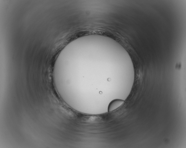 X0000111820663200907231026