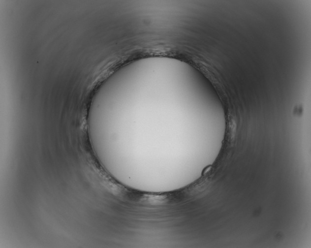 X0000111820665200907231026