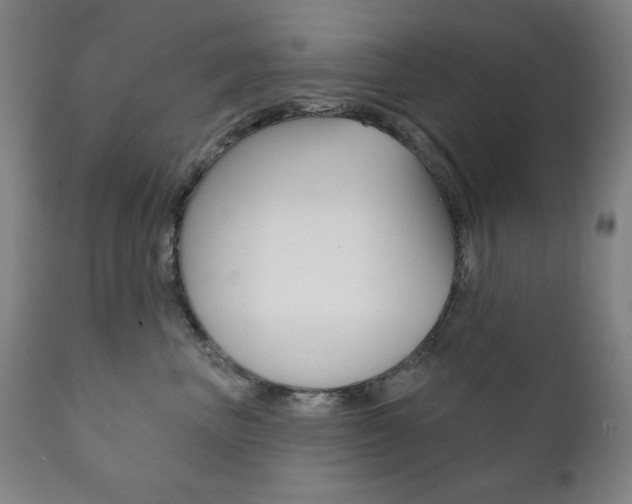 X0000111820667200907231026