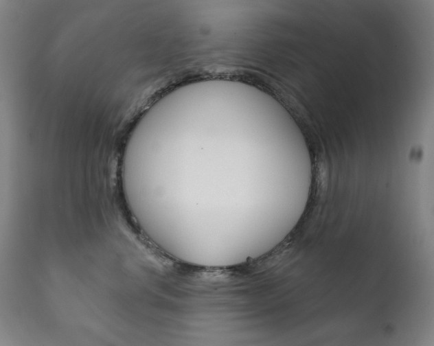 X0000111820668200907231026