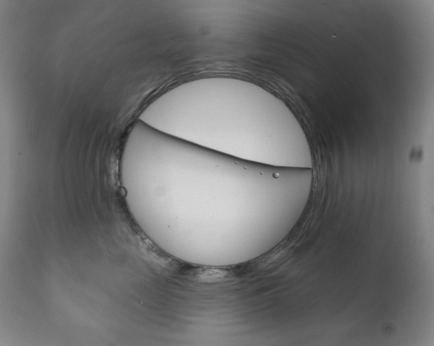 X0000111820669200907231026