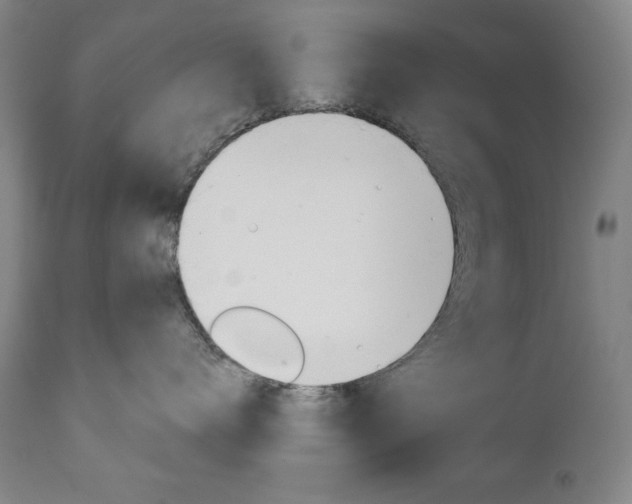 X0000111820672200907231026