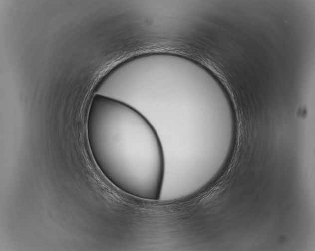 X0000111820673200907231025